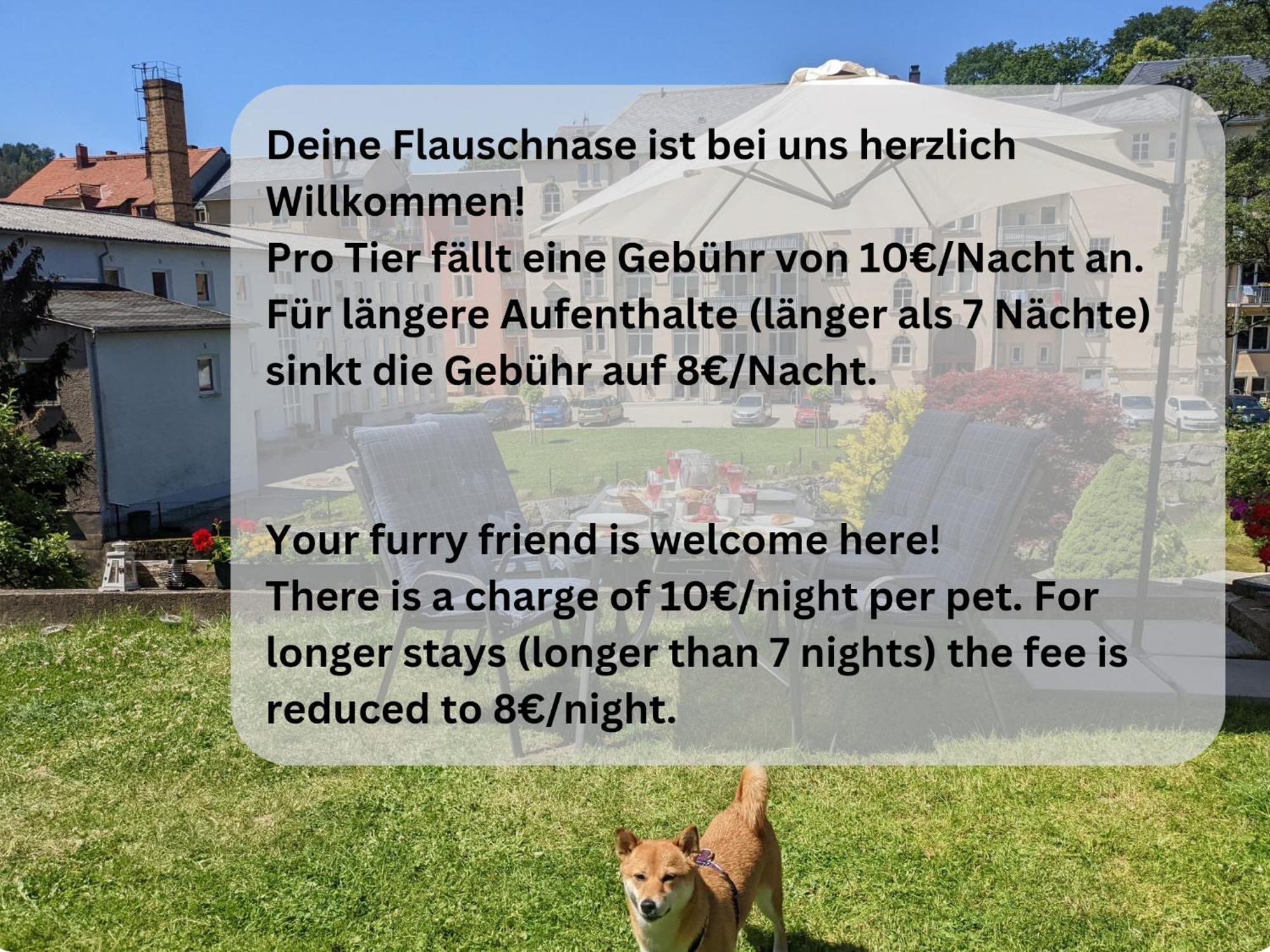 Hw3 - Urlaubsmagie - Helle, Grosse Wohnung Mit Pool 세브니츠 외부 사진
